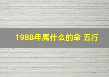 1988年属什么的命 五行